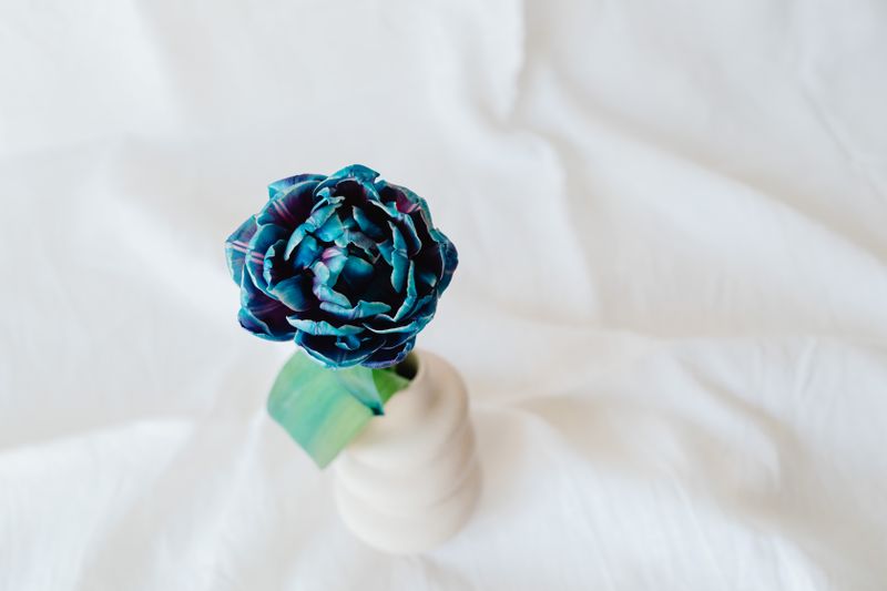 Composition interflora moderne - Minimalisme Chic