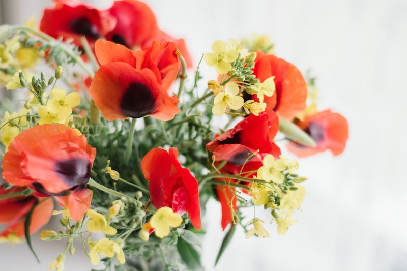 Arrangement floral printemps inter flora